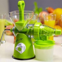 Fruit and vegetable juicer